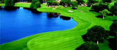 A Florida golf course